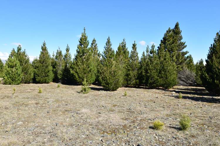 76 Flanagan Lane Twizel_6