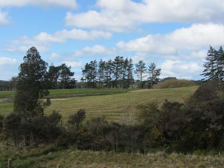 Lot 7/93 Escott Road Dairy Flat_6