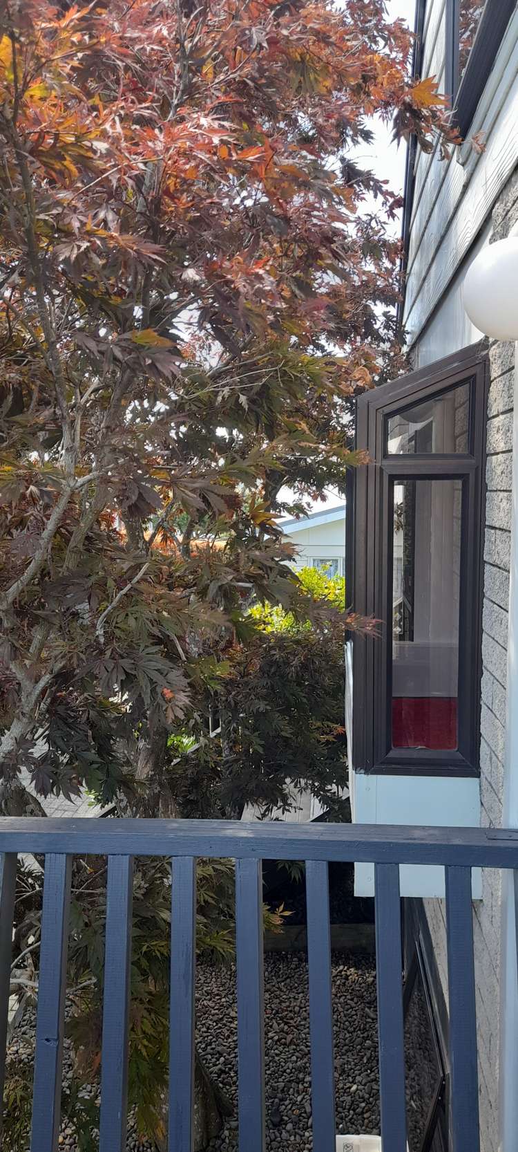 40b Manson Street Gate Pa_8