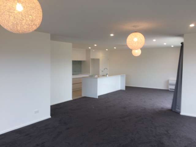 31 Anderton Crescent Mosgiel_4