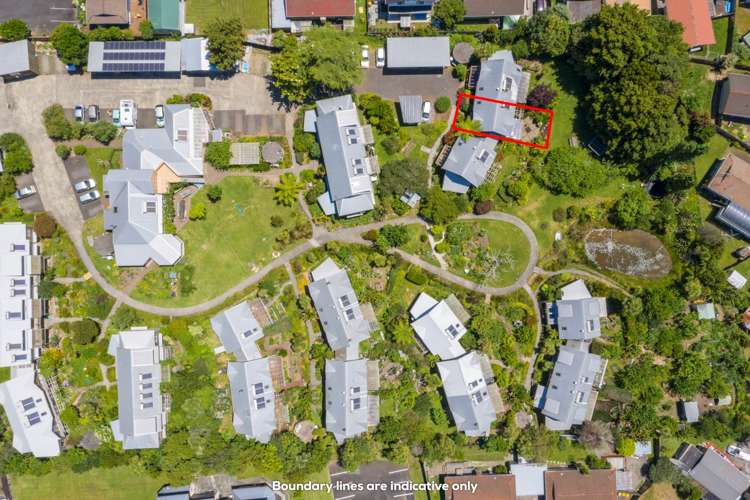 6/457 Swanson Road Ranui_17