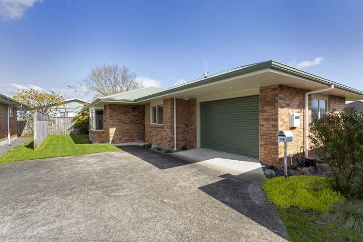 24B Reeve Street Levin_15