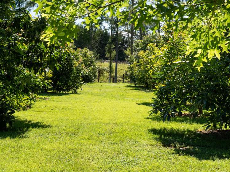 447 Poripori Road Kaimai_27