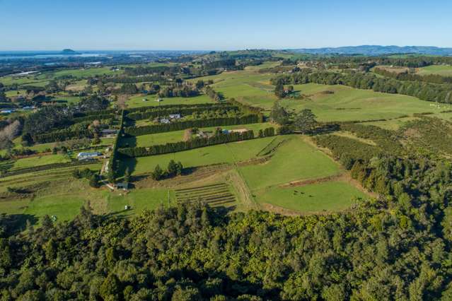 9d Mcquade Road Whakamarama_3