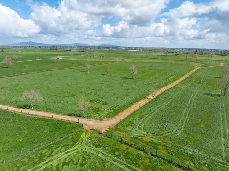 353 Maiseys Road, Waharoa Matamata_6