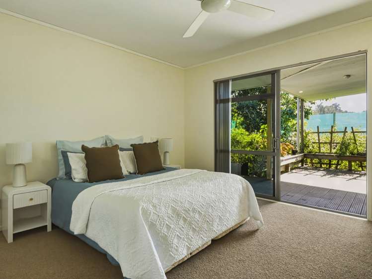 555c Old Highway Whakamarama_22