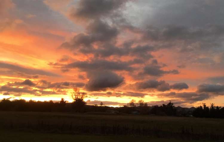 460 Douglas Road Amberley_29