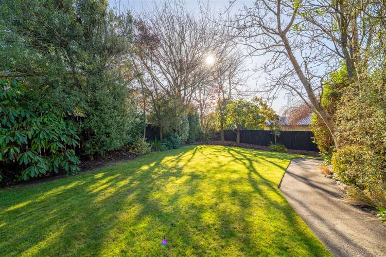 50 Macaulay Street Gleniti_19