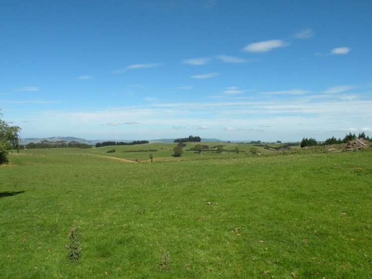 44 Fletts Road Milton_5