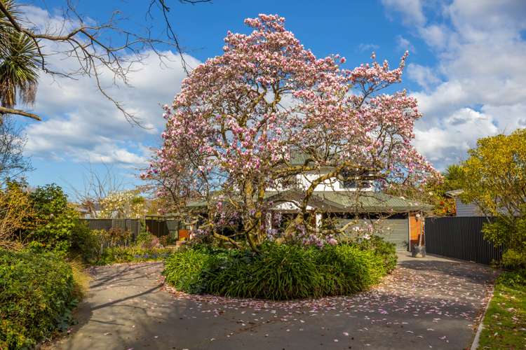 105a Maxwell Road Blenheim Central_7