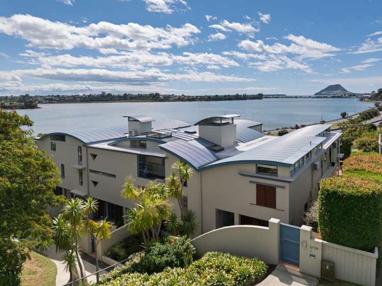 5/115 Fourth Avenue Tauranga Central_35