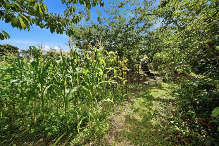 28 Gossamer Drive Pakuranga Heights_16