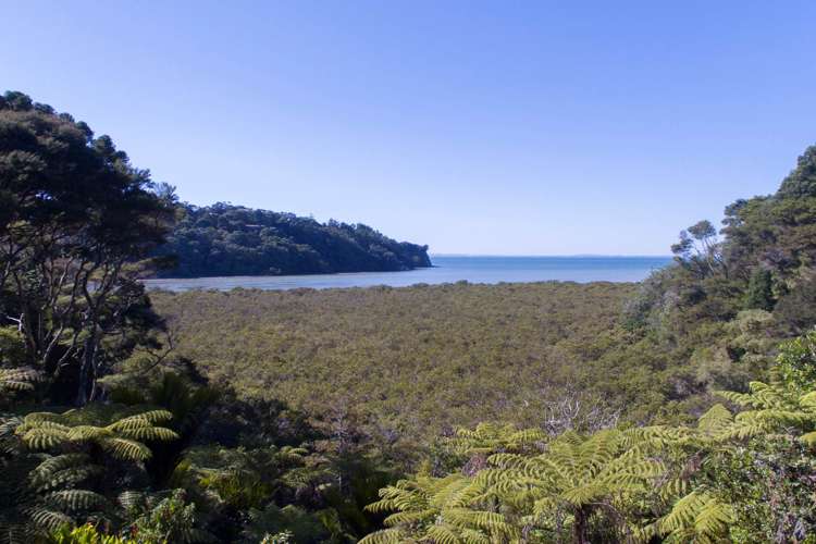 1 Janet Place Laingholm_2