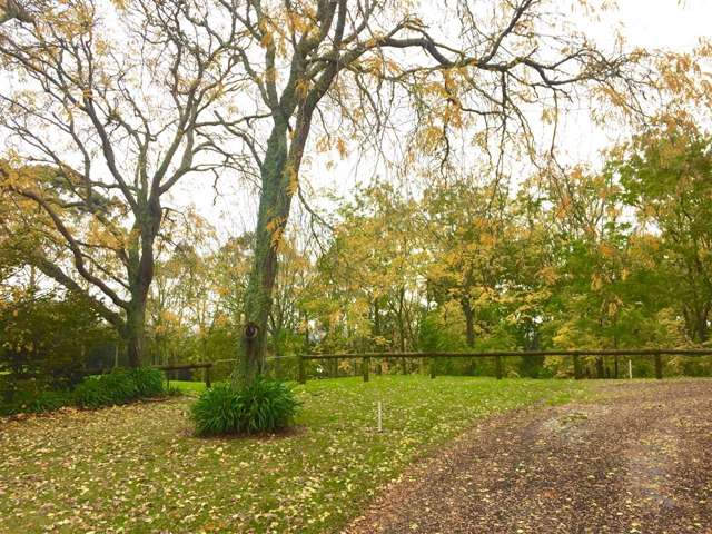 631 Peacockes Road Rukuhia_1