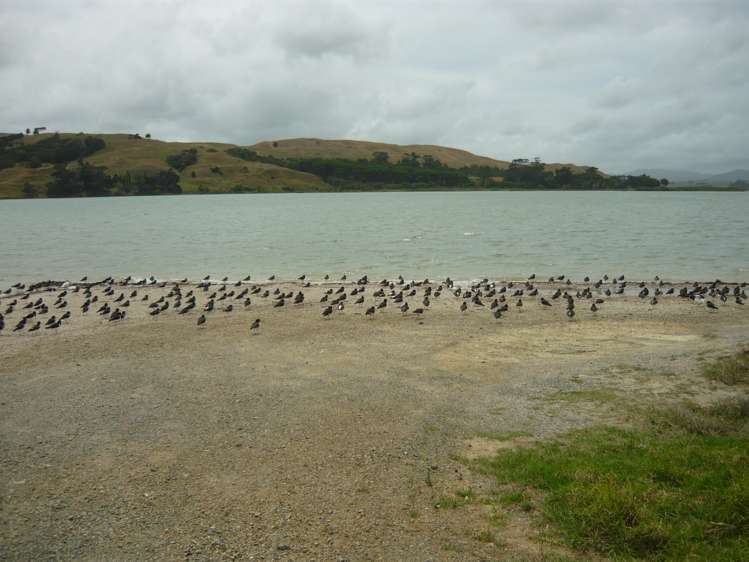 87 Rangiora Road Kaiwaka_16