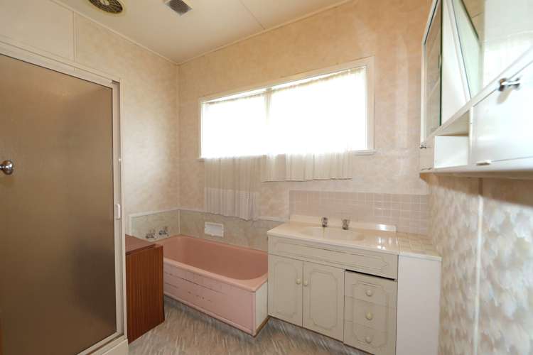 807 Alexandra Street Parkvale_3