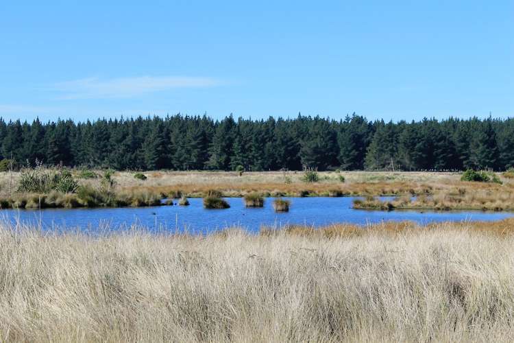 68 Te Kohanga Drive Pegasus_3