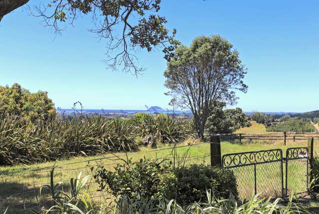 403a Esdaile Road Whakamarama_1