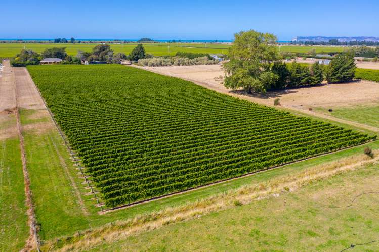 140 Neal Road Spring Creek_15