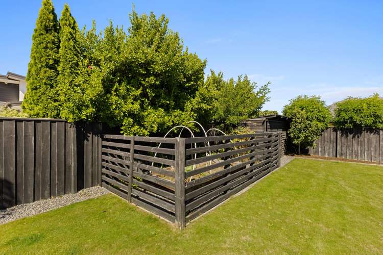 16 Turvey Street Pegasus_26