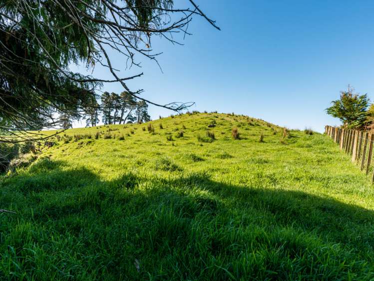 Ruatiti Road Raetihi_9