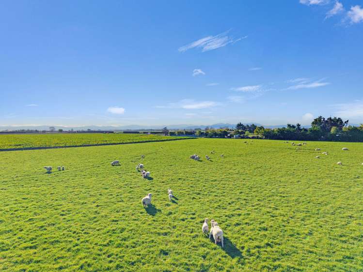 21 Dominion Road Timaru_5