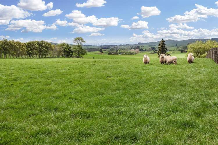 1491 Kaiaua Road Mangatangi_15