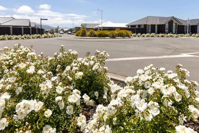 6 Bond Street Springlands_2