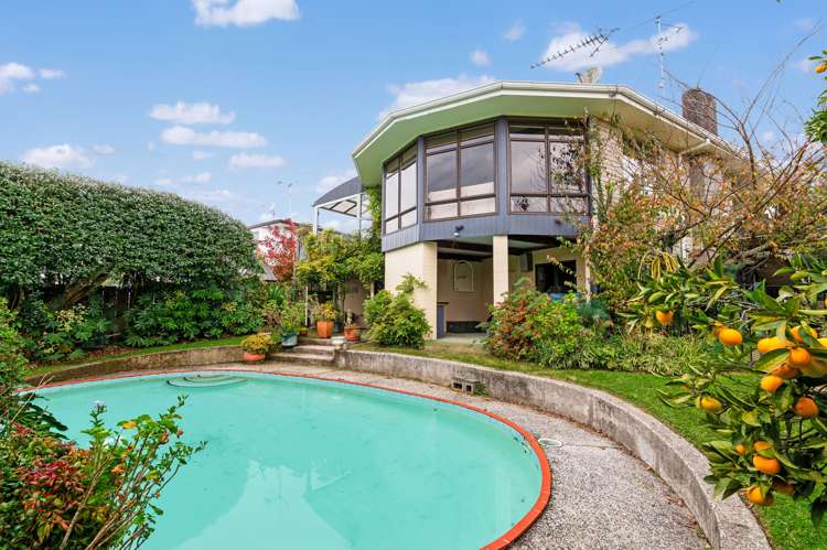 88 Poaka Avenue Dinsdale_2