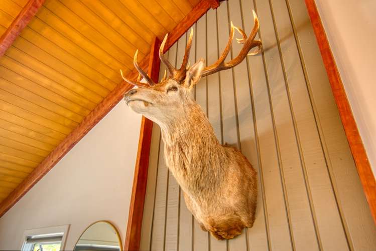 11 Bowen Street Kokatahi_10