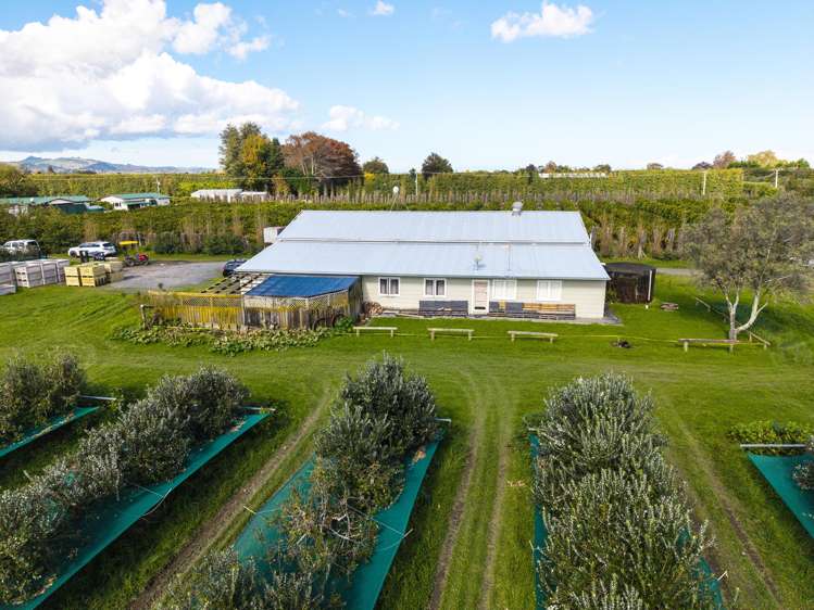 590 Matawai Road Waerengaahika_13