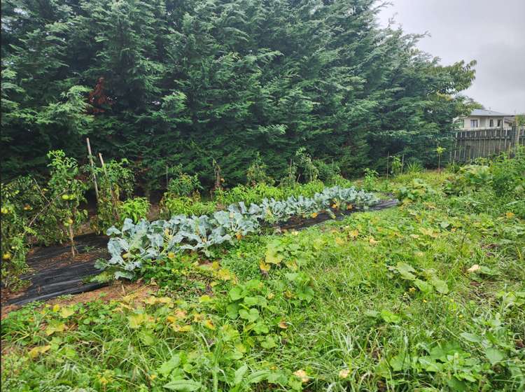 62 Valentine Street Papakura_13