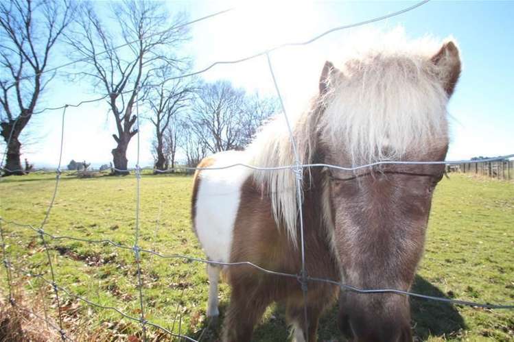 23 Kelso Road Gore Surrounds_23