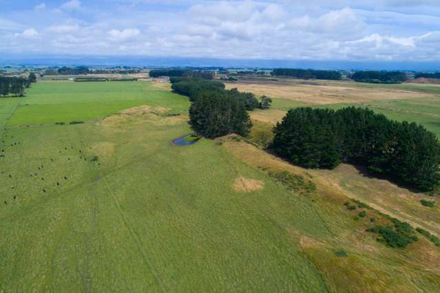 1145 Kellow Road Glen Oroua_3