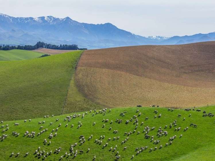 307 Broxton Road MacDonald Downs_1