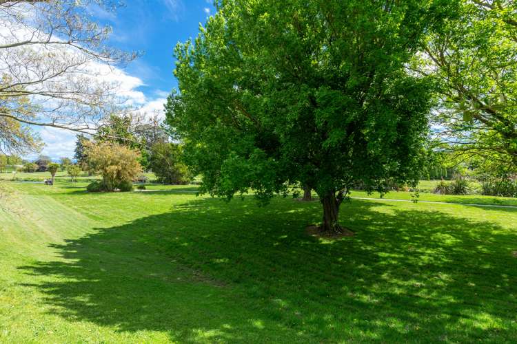 114 Alfred Street Blenheim Central_18