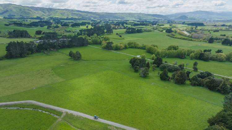 302 Ballance Road Pahiatua_5