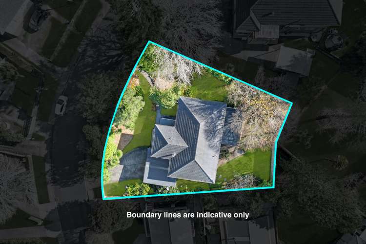 6 Tagor Street Glen Eden_19