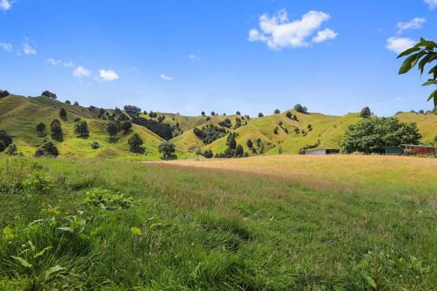 74 Mania Road Taumarunui_2