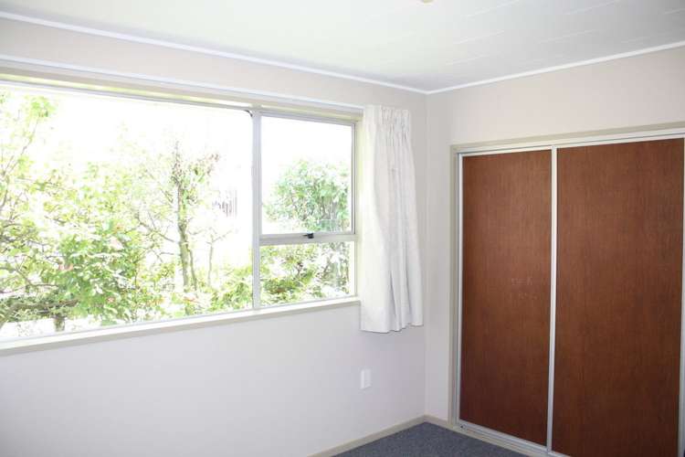 17a Bradshaw Street South Dunedin_8