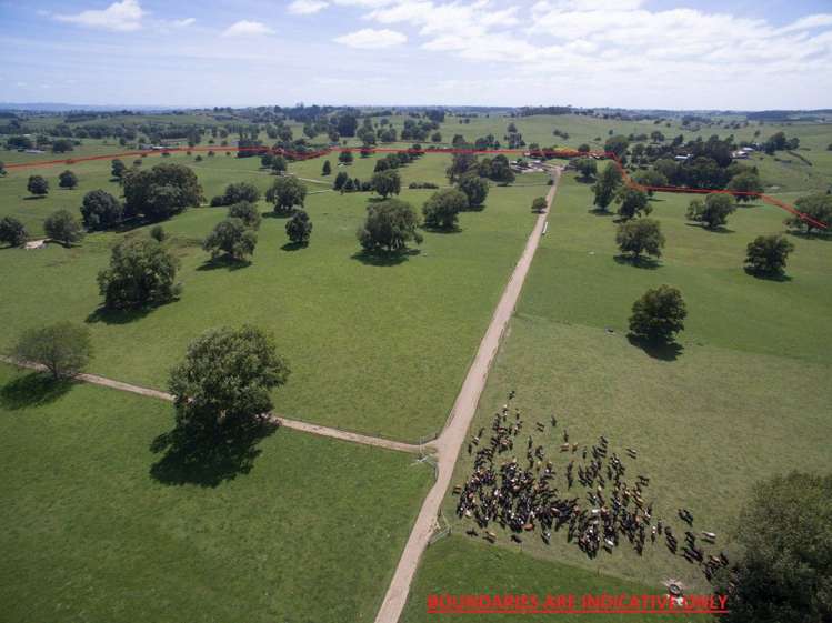 267 Frontier Road Te Awamutu_3