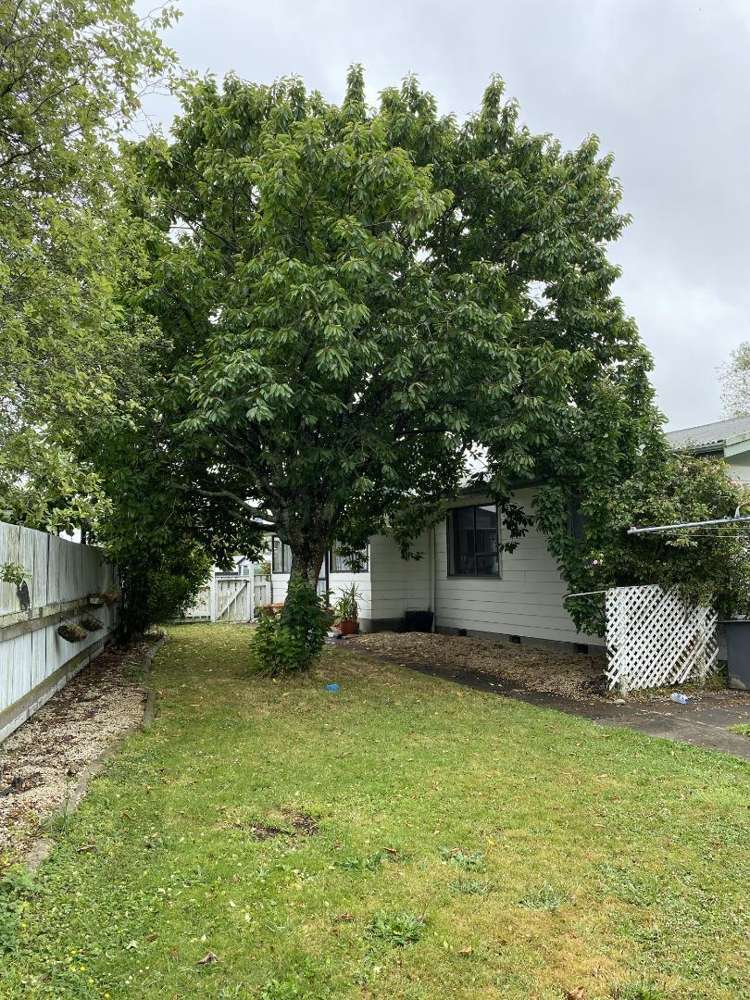 12 Patea Place Masterton_18