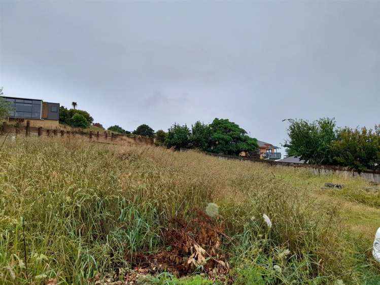 8 Ohinemuri Place Paeroa_4