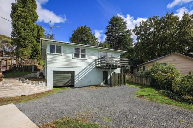20 Old Te Kuiti Road Otorohanga_1