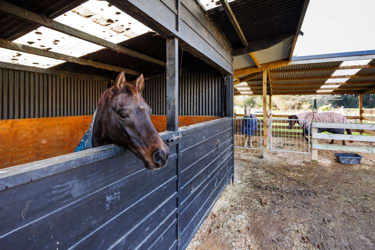 102 No 1 Line Westbrook_40