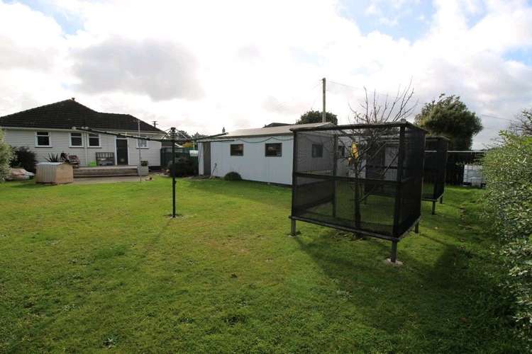 20 Ward Street Bulls_38