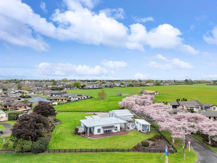 7 Odlum Drive Matamata_22