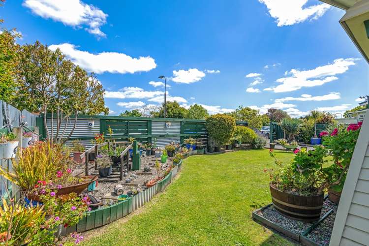 11 Regent Street Palmerston North Central_15