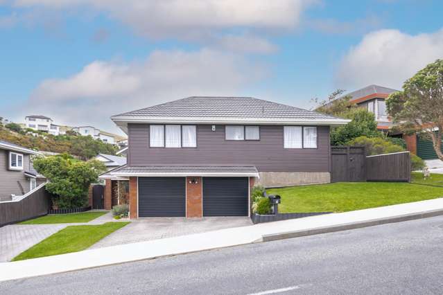 60 Erris Street Johnsonville_1