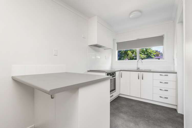 16 O'Neill Street Claudelands_18